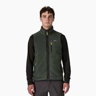 Жилет чоловічий Patagonia Retro Pile Fleece old growth green
