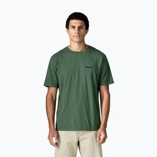 Футболка чоловіча Patagonia P-6 Logo canopy green