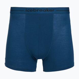 Труси термічні чоловічі icebreaker Anatomica atlantis
