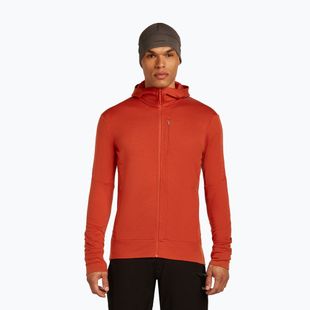 Кофта чоловіча icebreaker Merino 260 Quantum IV Zip Hoodie agate
