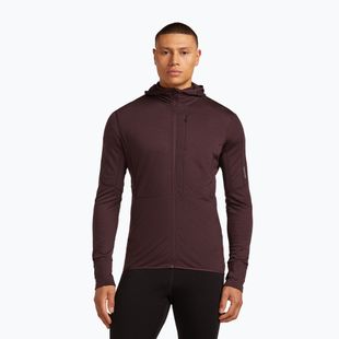 Кофта трекінгова чоловіча icebreaker Merino 200 RealFleece Descender Zip Hoodie java