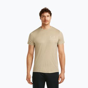 Футболка чоловіча icebreaker Merino 150 Tech Lite Peaceful Pass Tee flagstone