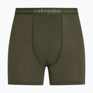 Труси термічні чоловічі icebreaker Anatomica dark loden