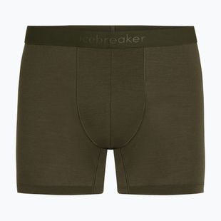 Труси термічні чоловічі Icebreaker Merino 125 Cool-Lite Anatomica dark loden