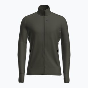 Кофта трекінгова чоловіча Icebreaker Merino 260 Quantum IV LS Zip dark loden
