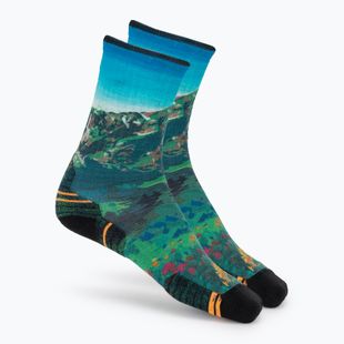 Шкарпетки жіночі Smartwool Hike Mountain Lake Print Crew capri