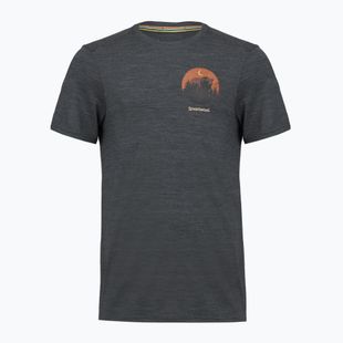 Футболка чоловіча Smartwool Lunar Bear Active SS Graphic Tee charcoal heather