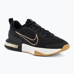 Кросівки для тренувань чоловічі Nike Air Max Alpha Trainer 6 black/sail/parachute beige
