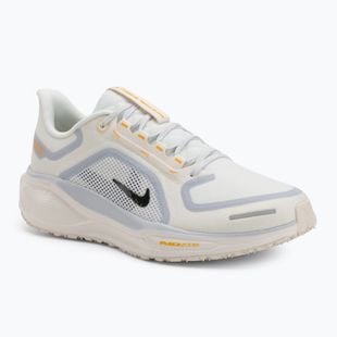 Кросівки для бігу чоловічі Nike Pegasus 41 GTX sail/football grey/sundial/ashen slate