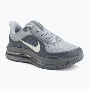 Кросівки для бігу чоловічі Nike Pegasus Premium wolf grey/cool grey/anthracite/sail