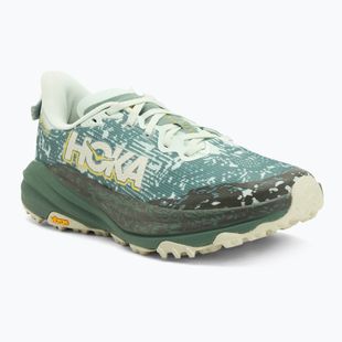 Кросівки для бігу чоловічі HOKA Speedgoat 6 GTX sa glass/fern