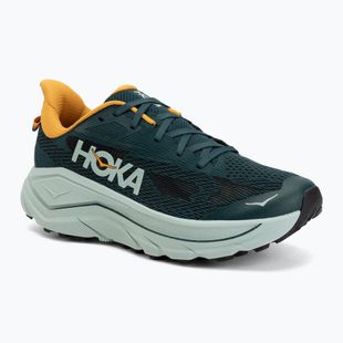 Кросівки для бігу чоловічі HOKA Challenger 8 bay leaf/sage