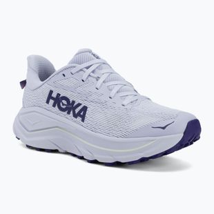 Кросівки для бігу жіночі HOKA Challenger 8 ambient blue/blueberry