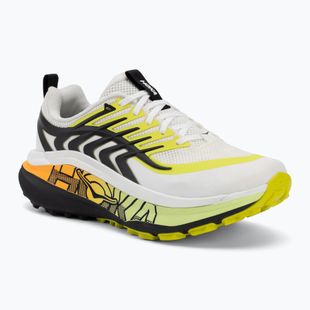Кросівки для бігу чоловічі HOKA Stinson 8 frost/black