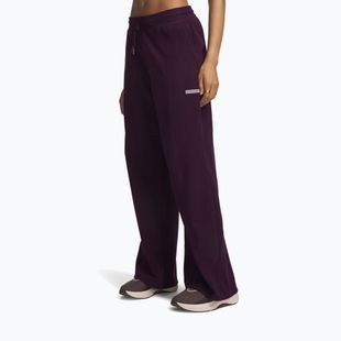 Штани для тренувань жіночі Under Armour Performance Fleece Pants purple echo/purple echo