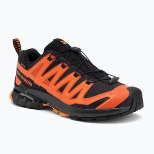 Кросівки для бігу чоловічі Salomon XA PRO 3D V9 GTX chery tomato/black/redora