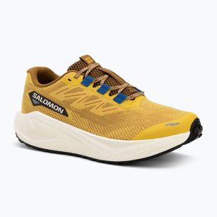 Кросівки для бігу чоловічі Salomon Aero Blaze 3 GRVL spicy mustard/vanilla ice/nautical blue