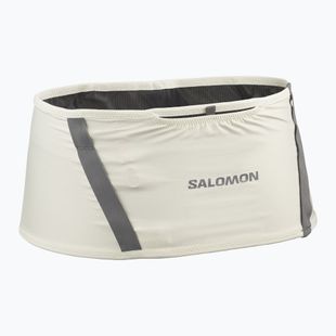 Пояс для бігу Salomon High Pulse icicle / castlerock