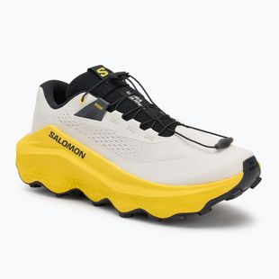 Кросівки для бігу чоловічі Salomon Ultra Glide 3 almond milk/incaberry/black