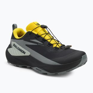 Кросівки для бігу чоловічі Salomon Genesis GTX black/sedona sage/incaberry