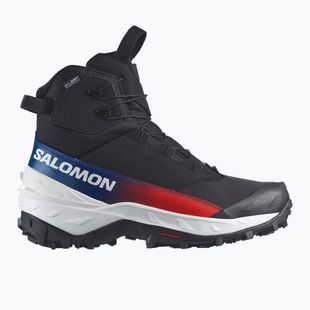 Взуття трекінгове чоловіче Salomon Crosstrak Powder WP Equipe black/black