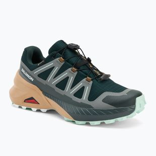 Кросівки для бігу жіночі Salomon Speedcross Peak GTX scarab/soft clay/bay