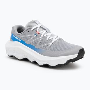 Кросівки для бігу чоловічі Salomon Ultra Flow 2 alloy/white/french blue