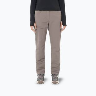 Штани трекінгові жіночі Salomon Wayfarer Warm iron