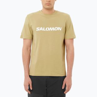 Футболка чоловіча Salomon Logo gray green