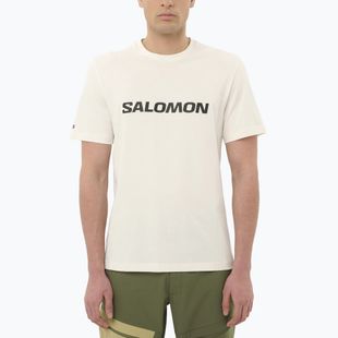 Футболка чоловіча Salomon Logo whisper white