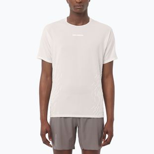 Футболка для бігу чоловіча Salomon Sense Aero GFX whisper white