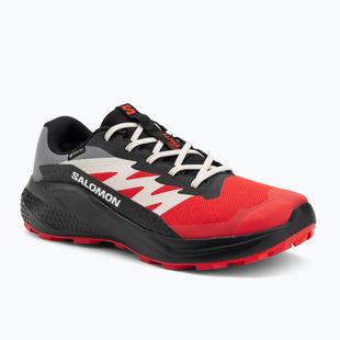 Кросівки для бігу чоловічі Salomon Alphaglide GTX flame scarlet/black/pewter