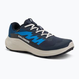 Кросівки для бігу чоловічі Salomon Alphaglide GTX blue night/lunar rock/french blue