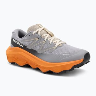 Кросівки для бігу чоловічі Salomon Ultra Flow 2 GTX gull/turmeric/white pepper