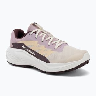 Кросівки для бігу жіночі Salomon Alphaglide tapioca/dawn pink