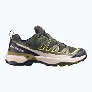 Кросівки трекінгові чоловічі Salomon X Ultra 360 Edge GTX peat/olive night