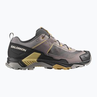 Кросівки трекінгові чоловічі Salomon X Ultra 5 cloudburst/black/willow