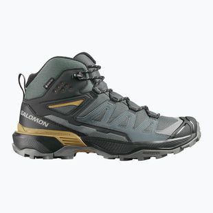 Черевики трекінгові чоловічі Salomon X Ultra 360 MID GTX urban chic/black