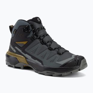 Черевики трекінгові чоловічі Salomon X Ultra 360 MID GTX urban chic/black