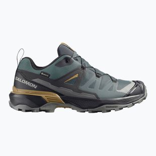 Кросівки трекінгові чоловічі Salomon X Ultra 360 GTX urban chic/black