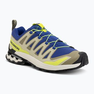 Кросівки для бігу чоловічі Salomon XA Pro 3D V9 bluing/bog/acid lime