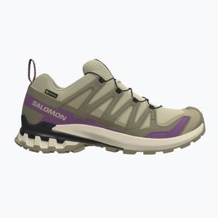 Кросівки для бігу жіночі Salomon XA Pro 3D V9 GTX bog/aloe