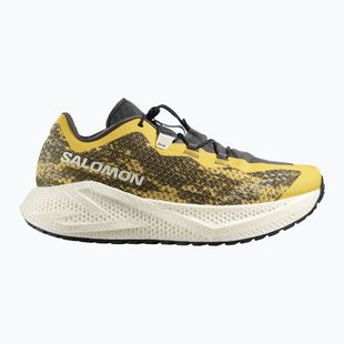Кросівки для бігу чоловічі Salomon Aero Glide 4 GRVL beach ball/asphalt/vanilla ice