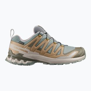 Кросівки для бігу чоловічі Salomon XA Pro 3D V9 GTX sedona sage/brilliant olive