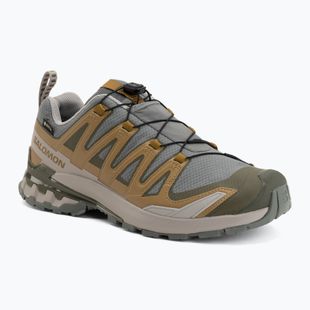 Кросівки для бігу чоловічі Salomon XA Pro 3D V9 GTX sedona sage/brilliant olive