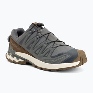 Кросівки для бігу чоловічі Salomon XA Pro 3D V9 GTX Lifelong sedona sage/coyote brown