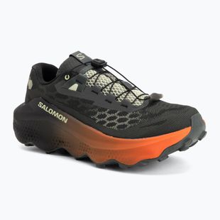Кросівки для бігу чоловічі Salomon Ultra Glide 4 urban chic/black