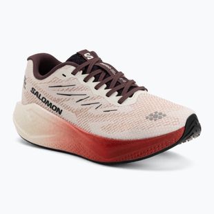 Кросівки для бігу жіночі Salomon Aero Blaze 4 vanilla ice/huckleberry
