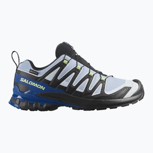 Кросівки для бігу чоловічі Salomon XA Pro 3D V9 GTX Icon black/brunnera blue