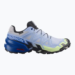 Кросівки для бігу чоловічі Salomon Speedcross 6 GTX Icon brunnera blue/surf the web